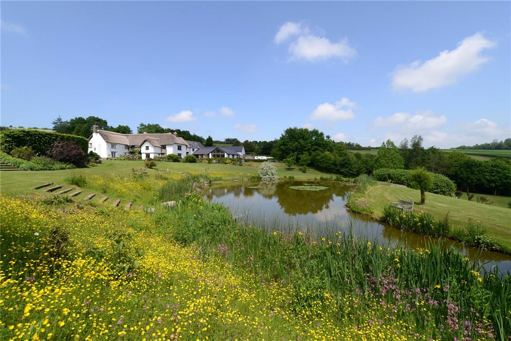 Estate Agents in Exeter Knight Frank (UK)