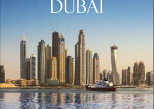 Dubai Buying GuideDubai Buying Guide - Residential