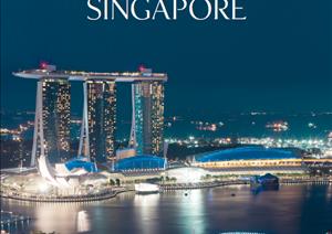 Singapore Buying GuideSingapore Buying Guide - Residential