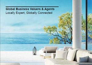 Global Business Valuers and Agents Capability StatementGlobal Business Valuers and Agents Capability Statement - 2017