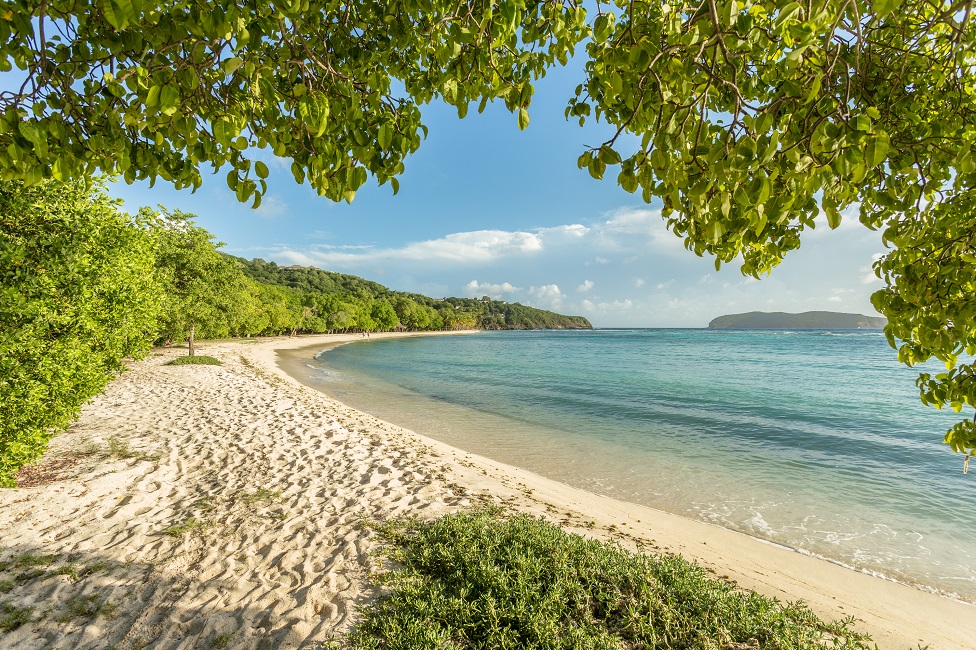 Unraveling the secret appeal of luxury Caribbean island Mustique ...