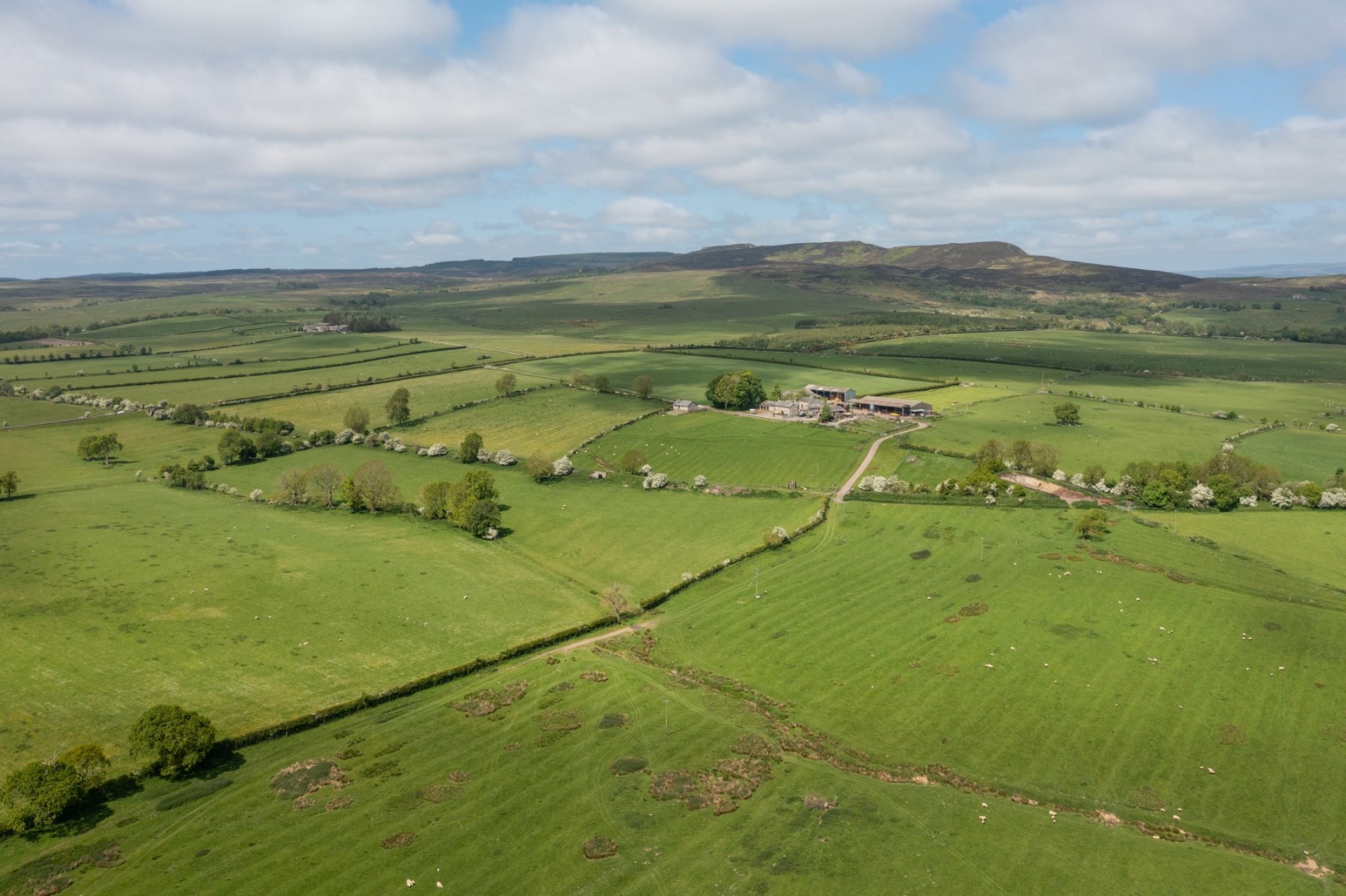 The Wildlife Trusts purchase the Rothbury Estate in partnership with Northumberland Wildlife Trust