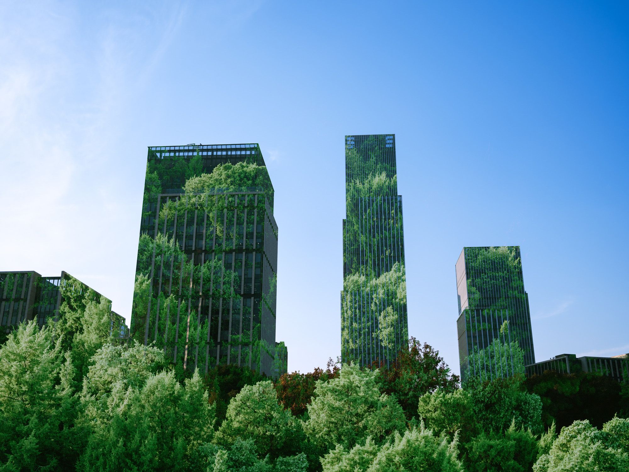 The ESG outlook: Sector-specific property trends for 2025