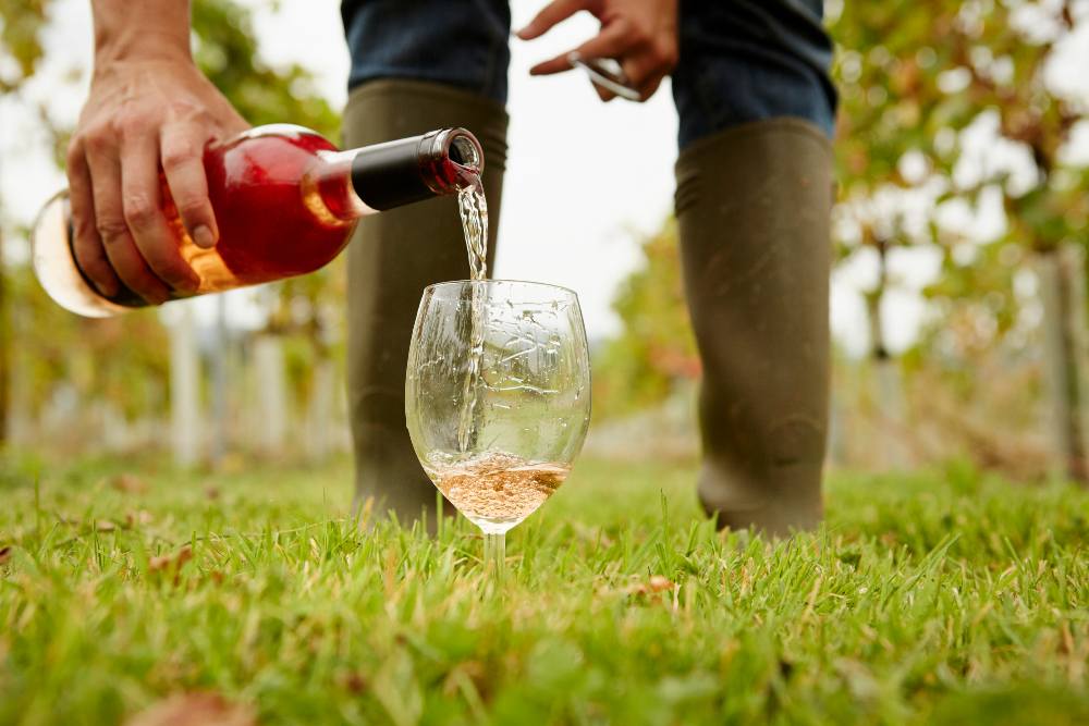 wine-bottle-viticulture
