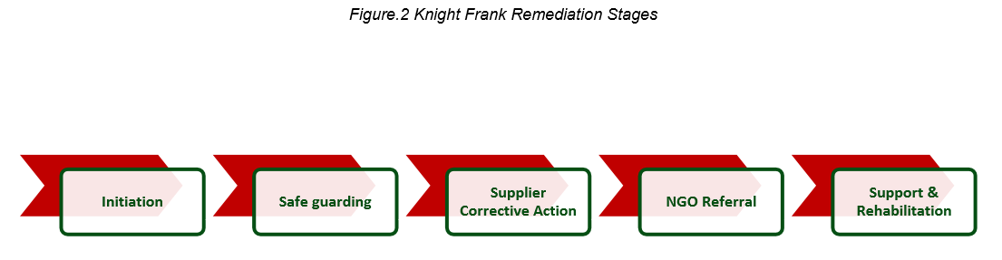 Figure 2. Knight Frank Remediation Stages