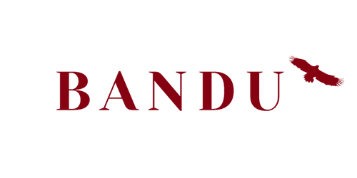 Bandu logo