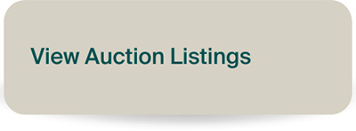 View Auction Listings