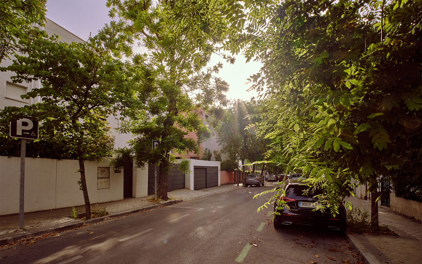 Image alt text