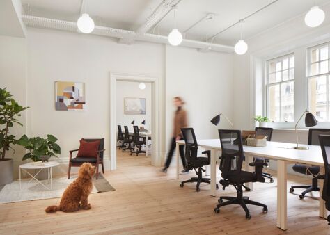 Office Space Hamilton House - Image 5