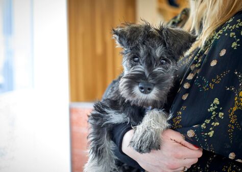 Office Space Leyton - Image 8