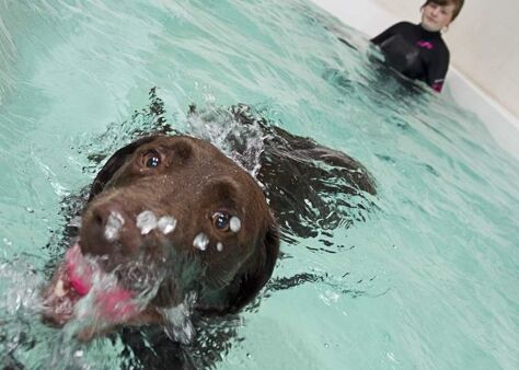 Office Space Waterlooville - Image 3