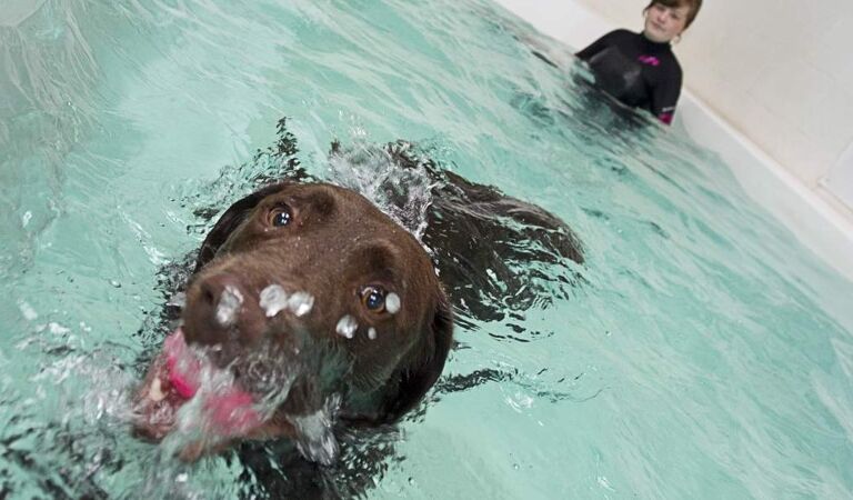 Office Space Waterlooville - Image 3