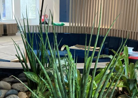 Office Space 95 Regent Street  - Image 5