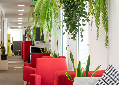 Office Space Fitzrovia - Image 7