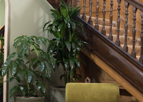 Office Space 128 Buckingham Palace Road - Image 3