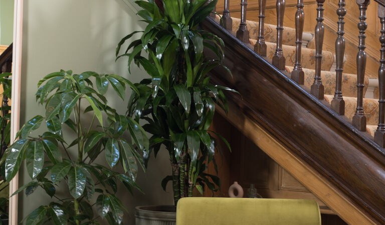 Office Space 128 Buckingham Palace Road - Image 3