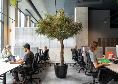 Office Space Piccadilly - Image 5
