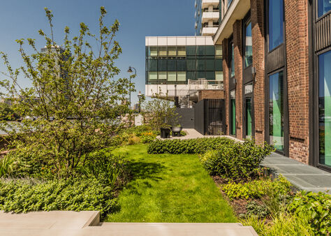 Office Space Tintagel House - Image 11