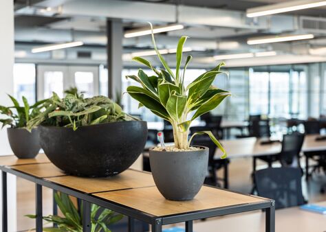 Office Space 120 Aldersgate Street - Image 12