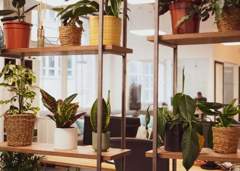 Office Space City - Image 19