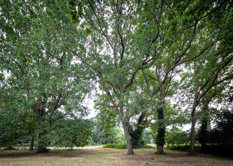 Office Space Harrington House - Image 8