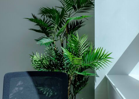 Office Space SH Studios - Image 74