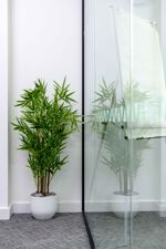 Office Space SH Studios - Image 107