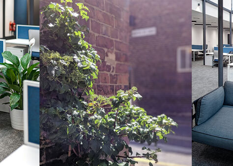 Office Space The Racquets Court - Image 3