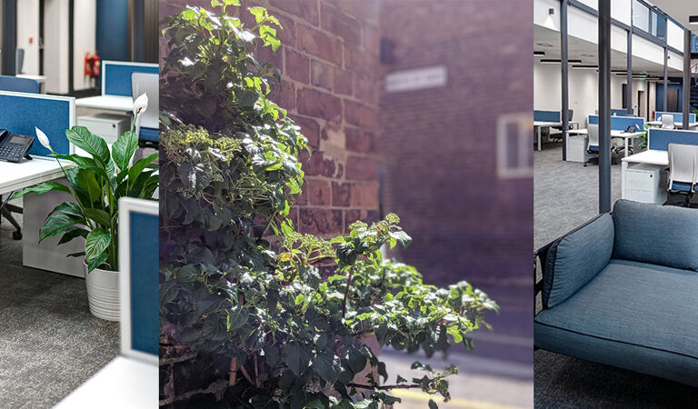 Office Space The Racquets Court - Image 3