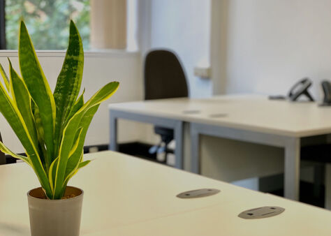 Office Space Victoria - Image 6