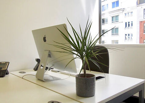 Office Space Victoria - Image 7