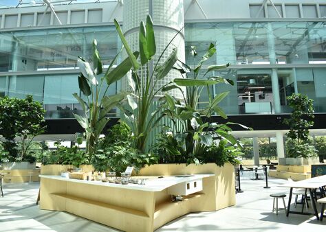 Office Space Link Spaces @ Botanica, Ditton Park - Image 11