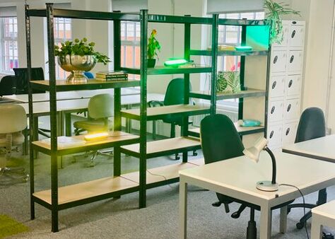 Office Space Rugby - Image 4