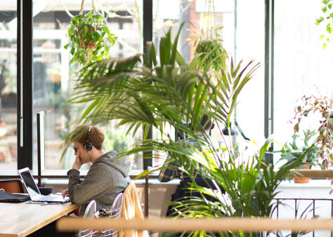 Image #3 of 1E Mentmore Terrace