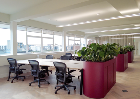 Office Space Heals Building - Image 4