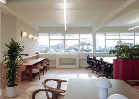 Office Space Heals Building - Image 3