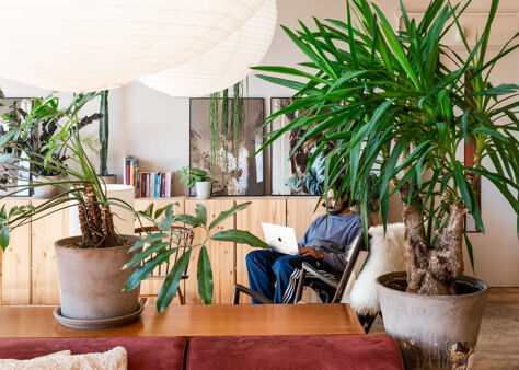 Office Space Market - Image 6