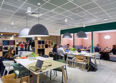 Office Space Adapt - Image 1