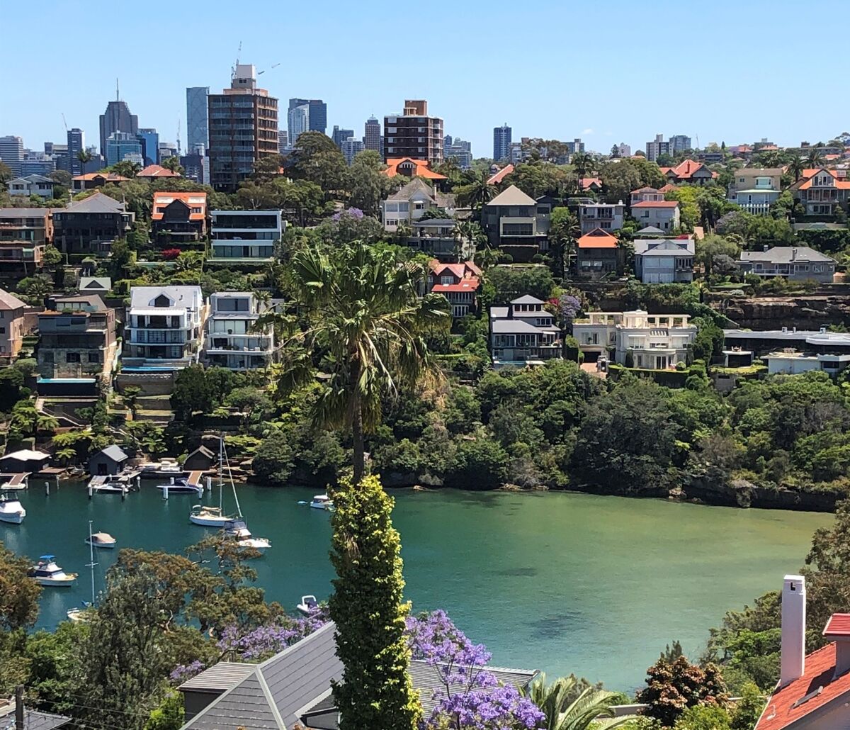 house for sale in 11 Rickard Avenue, MOSMAN, NSW 2088 5274407