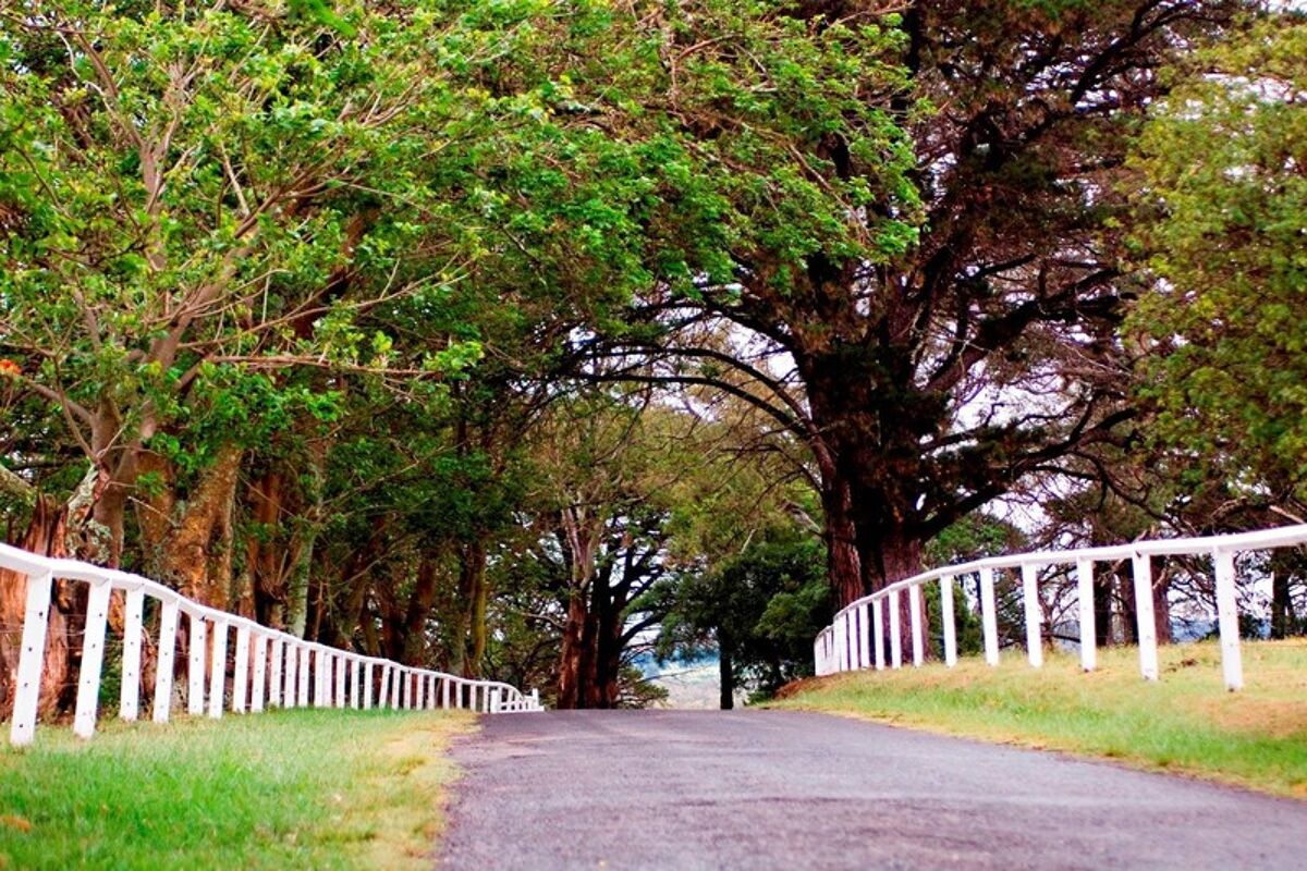 acreage/semirural for sale in 745 Barkers Lodge Road, PICTON, NSW 2571 5572623 Knight Frank