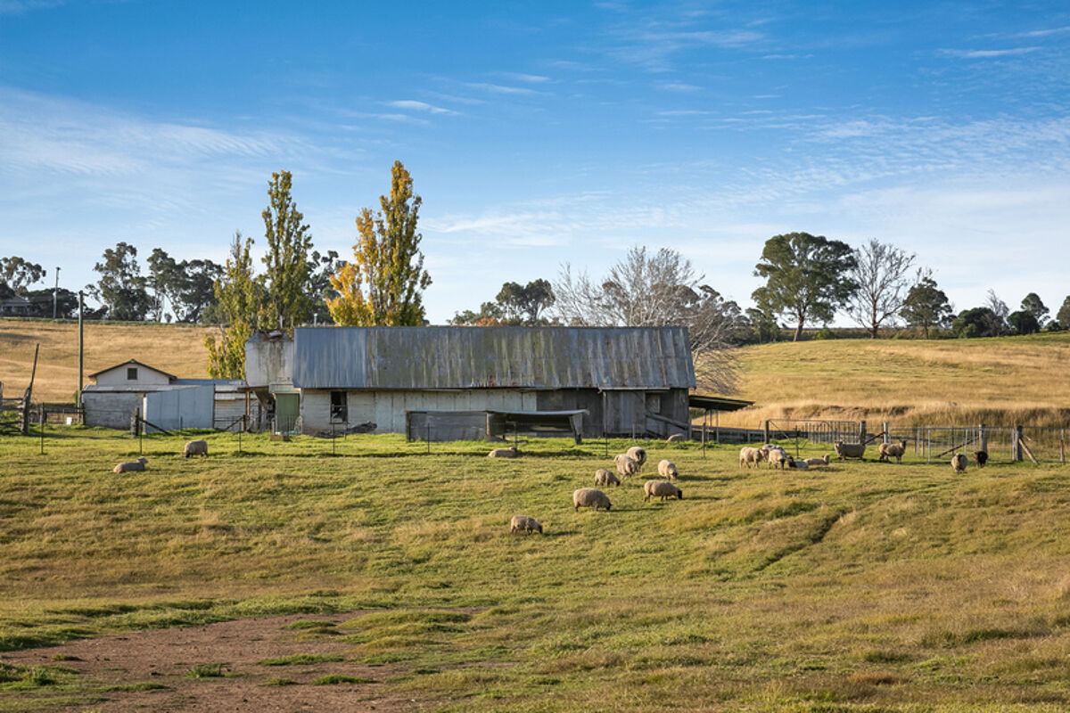 acreage/semirural for sale in 745 Barkers Lodge Road, PICTON, NSW 2571 5572623 Knight Frank acreage/semirural for sale in 745 Barkers Lodge Road, PICTON, NSW 2571 5572623 Knight Frank