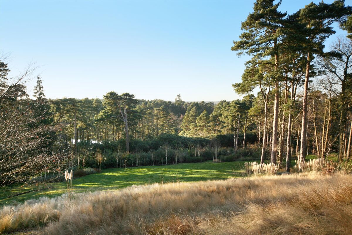 house for sale in Westwood Road, Windlesham, Surrey, GU20 ASC012078598 Knight Frank