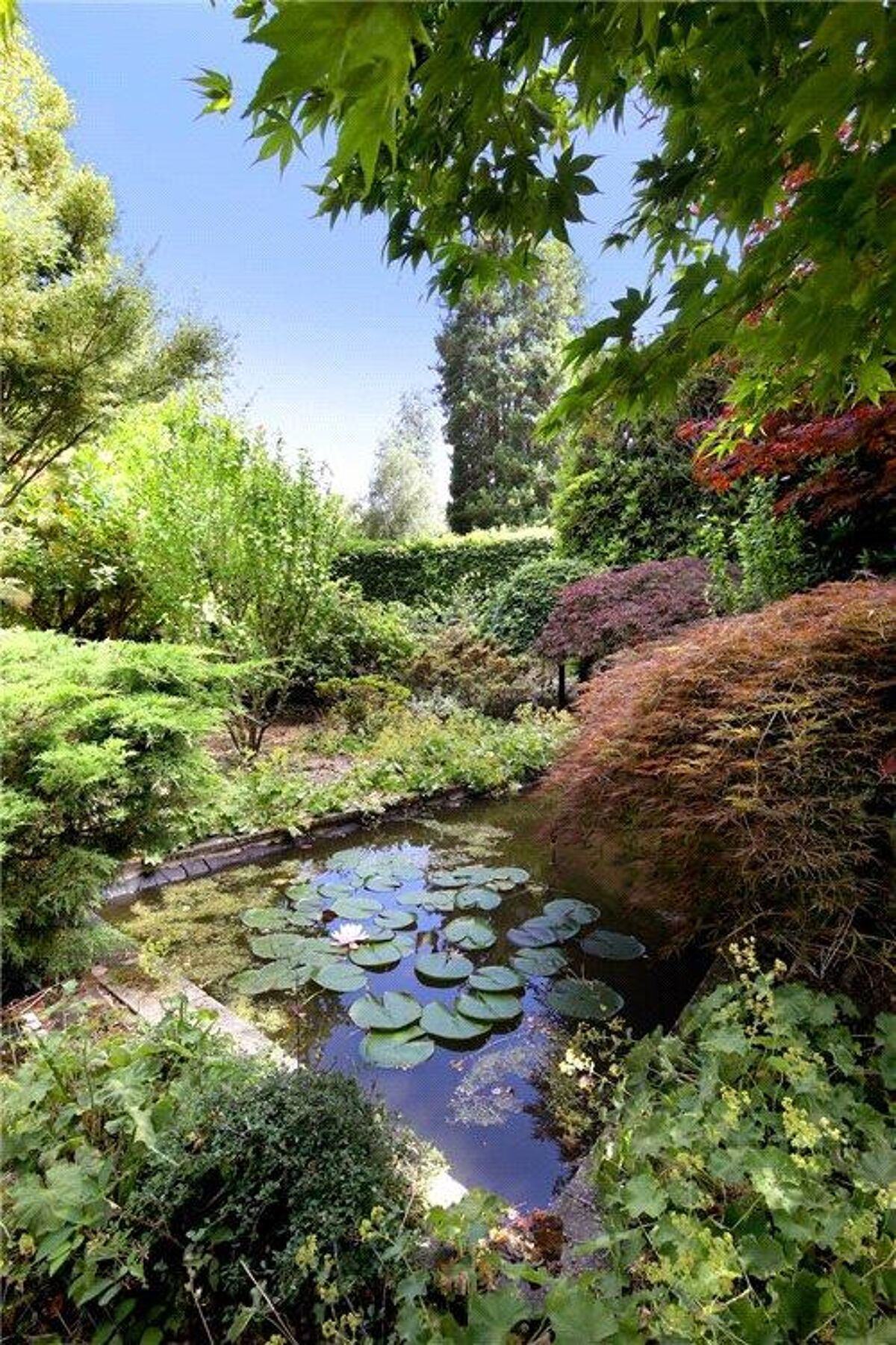 house for sale in Bagshot Road, Ascot, Berkshire, SL5 ASC180108