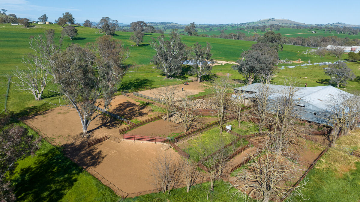 agricultural land for sale in Mylora, 715 Illalong Road, Binalong, NSW