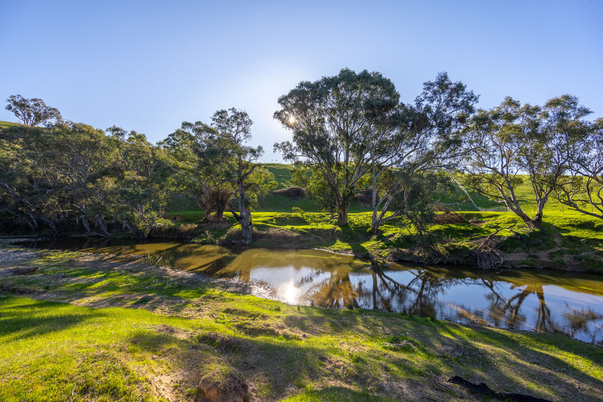 agricultural land for sale in Mylora, 715 Illalong Road, Binalong, NSW