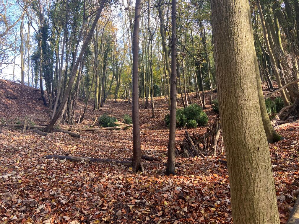 Image of Land near Castle Combe, Chippenham, Wiltshire, SN14