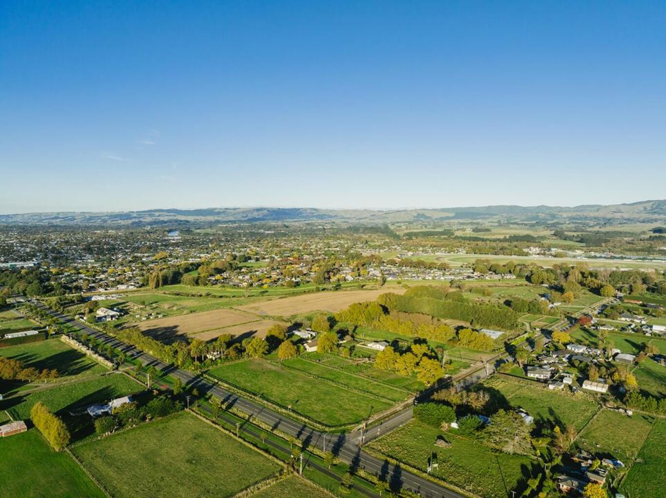Image of Kikiwhenua, Te Wanaka Road and Pioneer Highway, Palmerston North CBD, Manawatu / Whanganui
