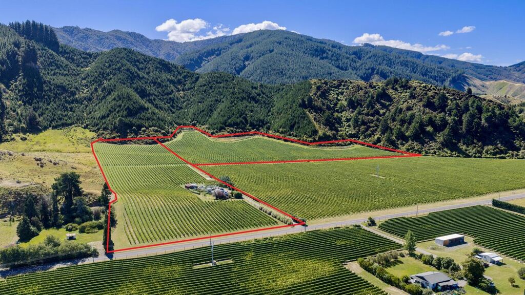 Image of 1224 Kaituna-Tuamarina Road, Renwick, Marlborough