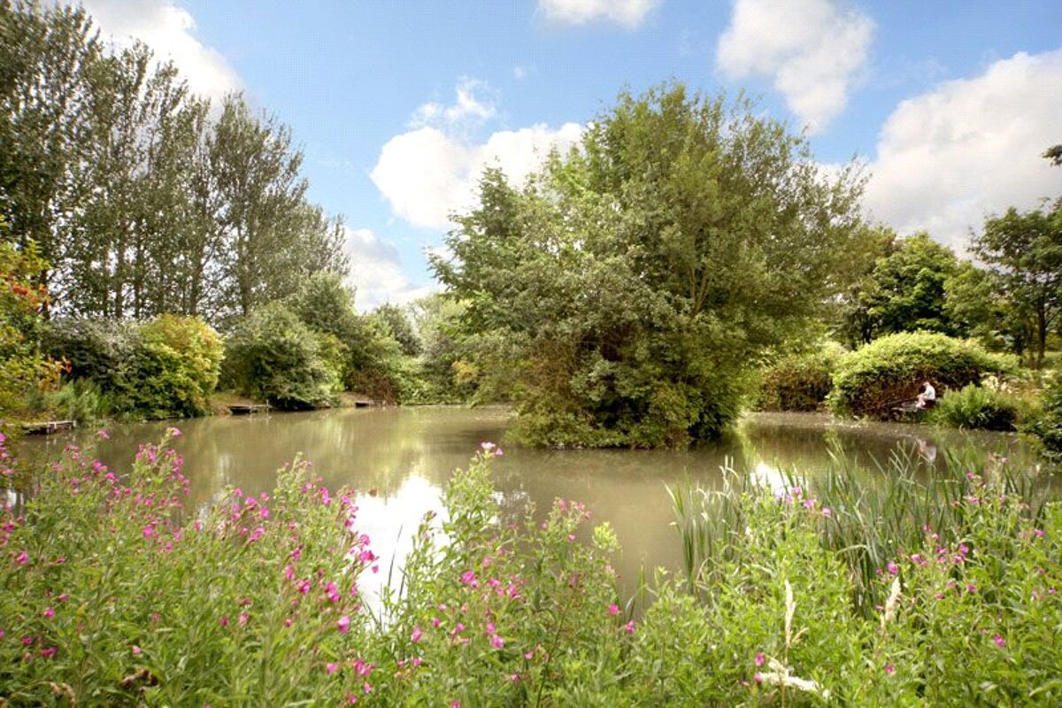 house for sale in Henton, Oxfordshire, OX39 BCN110106 Knight Frank