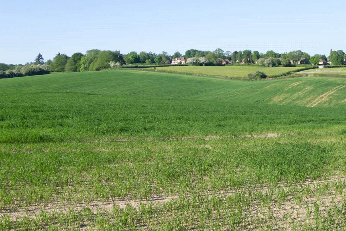 house for sale in Priests Paddock, Knotty Green, Beaconsfield